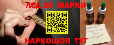 мяу мяу мука Гатчина