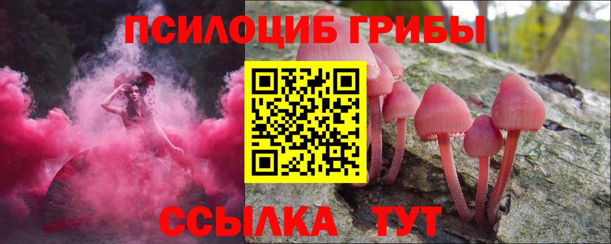 купить  цена  Галлюциногенные грибы мицелий  Вход с VPN  Псилоцибиновые грибы Cubensis  Муравленко 
