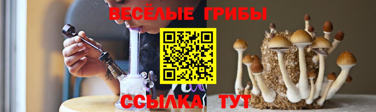 Галлюциногенные грибы Psilocybe Муравленко
